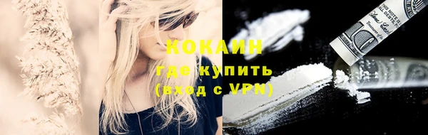 прущий лед Пересвет