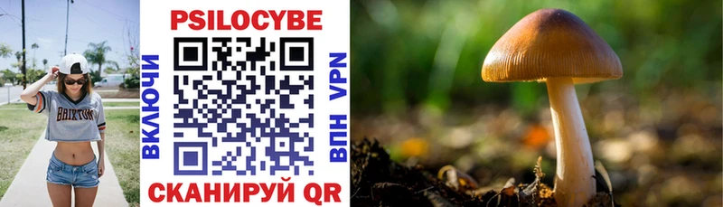 дарк нет клад  Кадников  Псилоцибиновые грибы MAGIC MUSHROOMS  где купить наркоту 